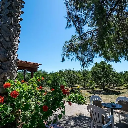 Skala Under The Sun