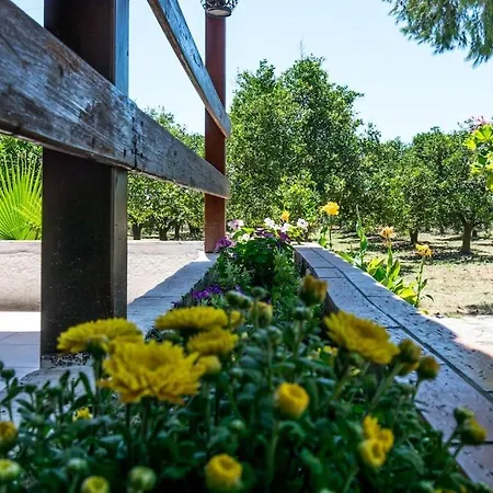 Skala Under The Sun Semesterbostad