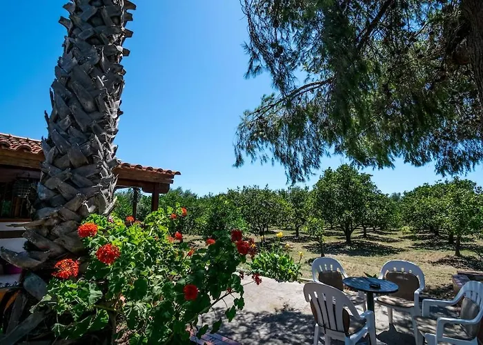 Skala Under The Sun